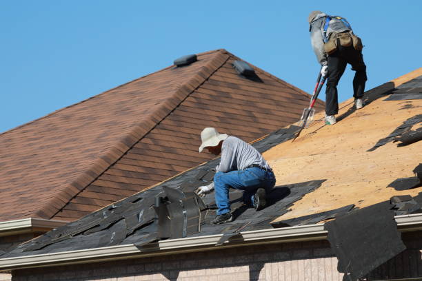 Best Green or Eco-Friendly Roofing Solutions  in USA